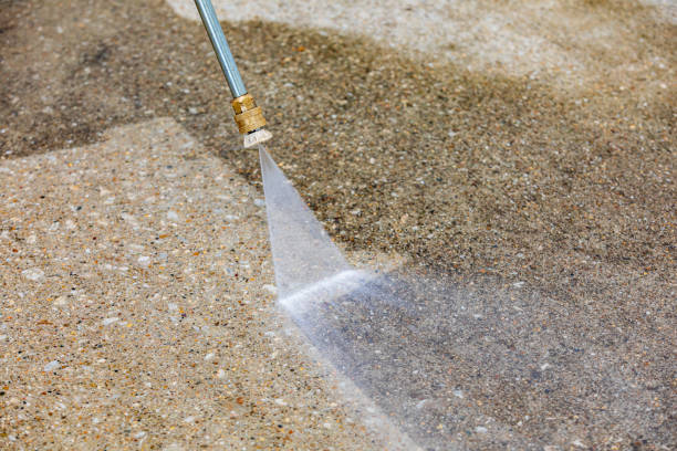 Best Animal Enclosure Cleaning  in Baldwinsville, NY